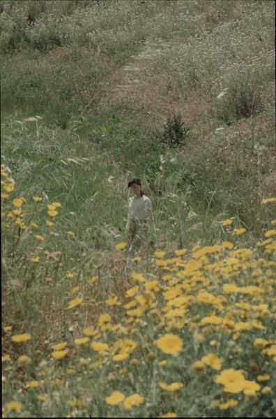 File:Home-slide-cineteca.jpg